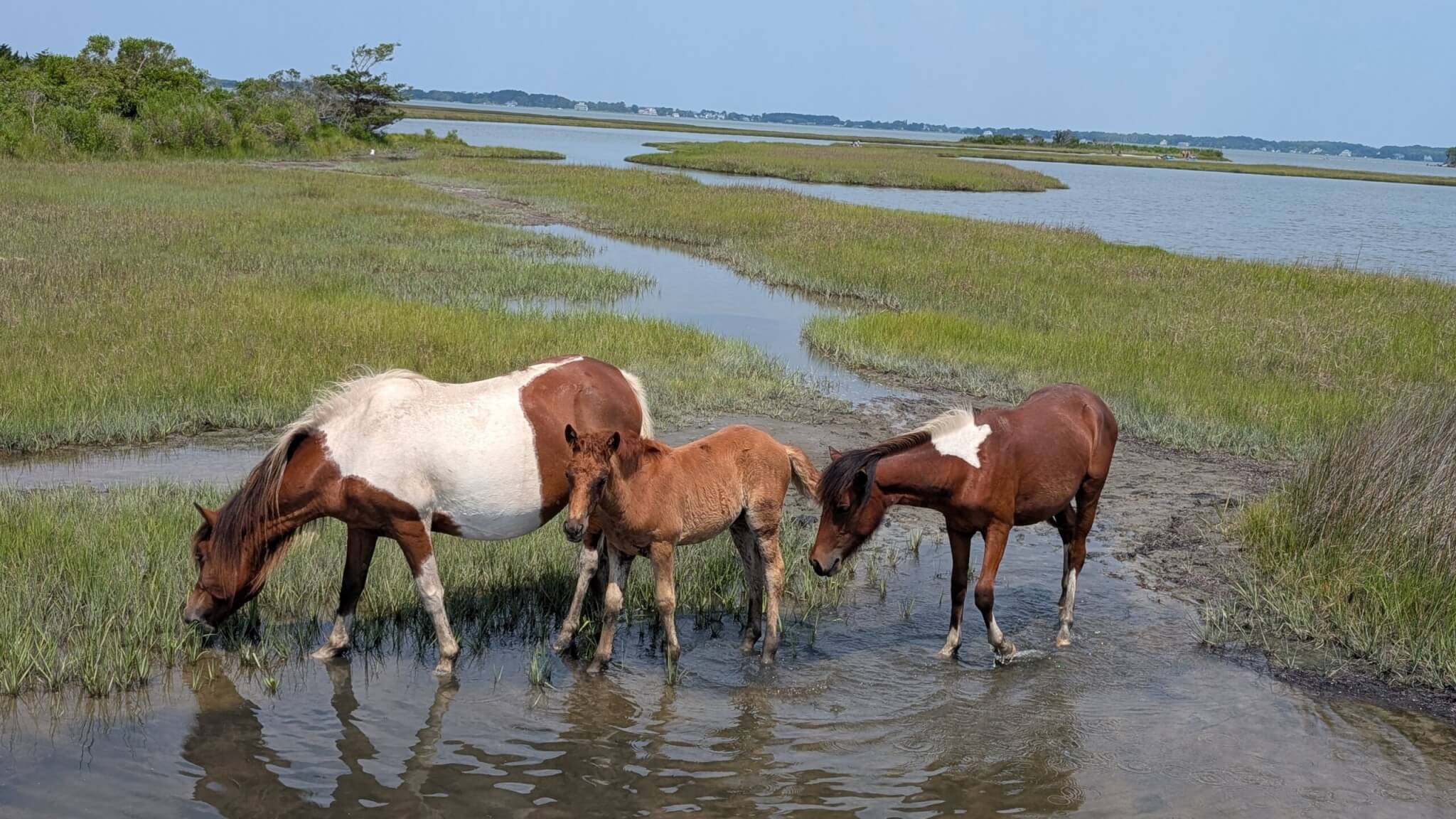 Ocean City Beach Getaway – Summer 2025